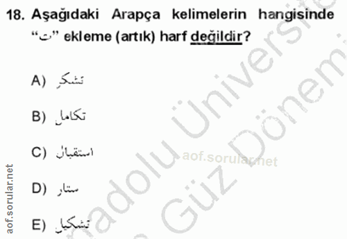Soru 18