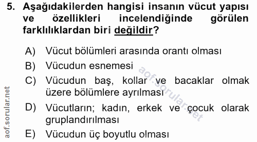 Soru 5