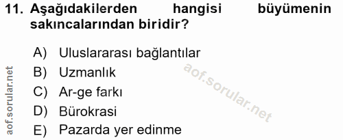 Soru 11
