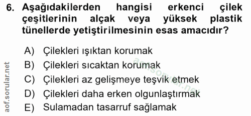 Soru 6