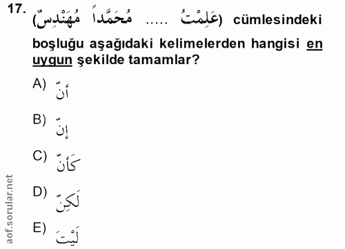 Soru 17