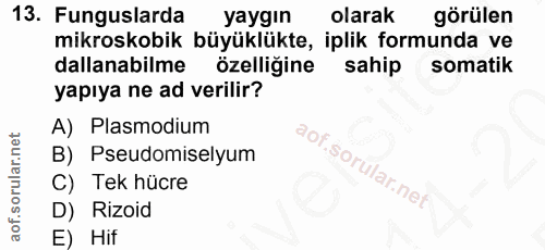 Soru 13