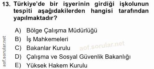 Soru 13