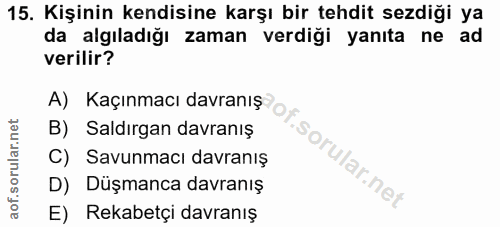 Soru 15