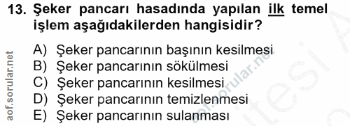 Soru 13
