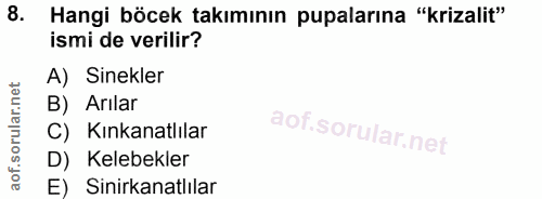 Soru 8