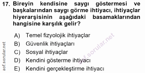 Soru 17