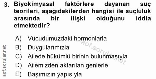 Soru 3