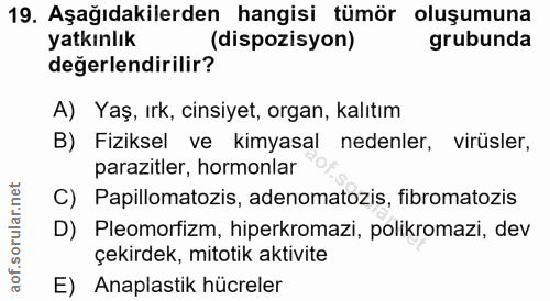 Soru 19