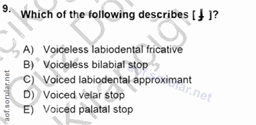 Soru 9