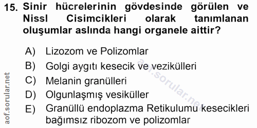 Soru 15