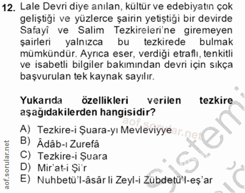 Soru 12