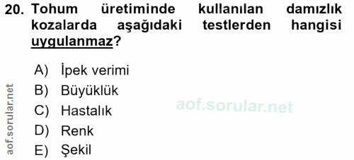 Soru 20