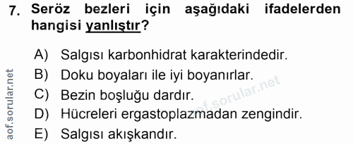 Soru 7