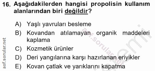 Soru 16