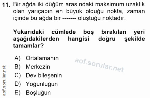 Soru 11
