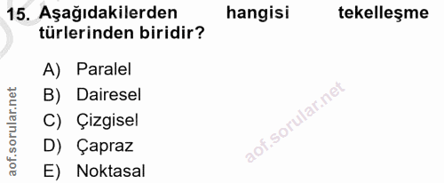 Soru 15