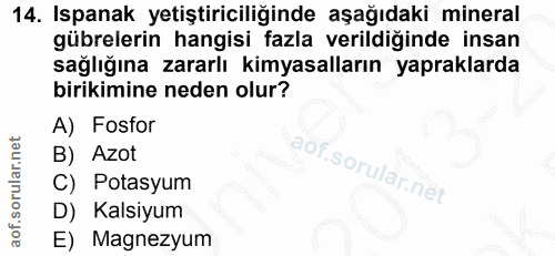 Soru 14
