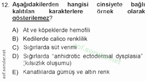 Soru 12