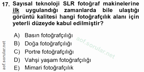 Soru 17