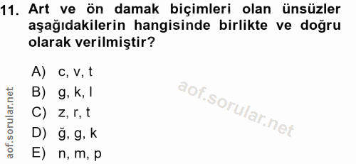 Soru 11