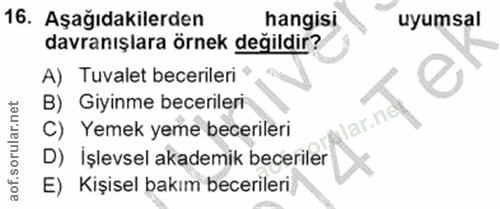 Soru 16