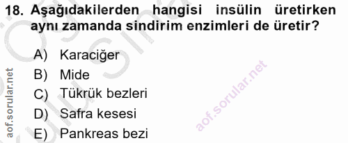 Soru 18