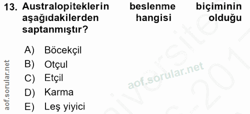 Soru 13