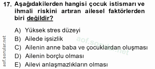 Soru 17