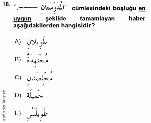 Soru 18