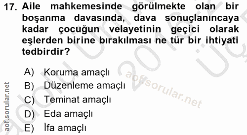 Soru 17