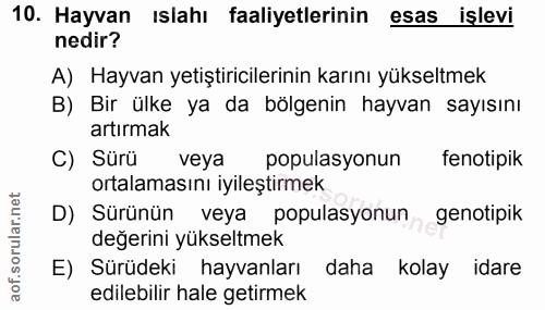 Soru 10