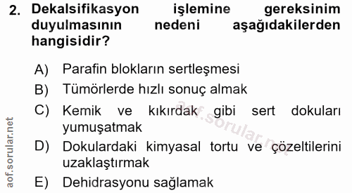 Soru 2