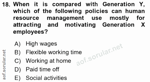 Soru 18