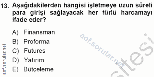 Soru 13