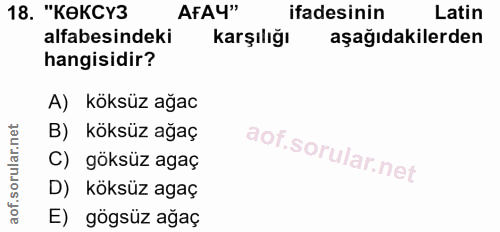 Soru 18
