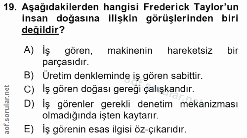 Soru 19