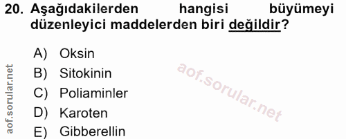Soru 20