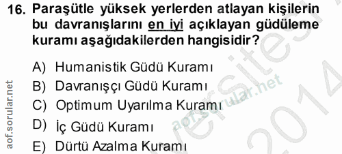 Soru 16