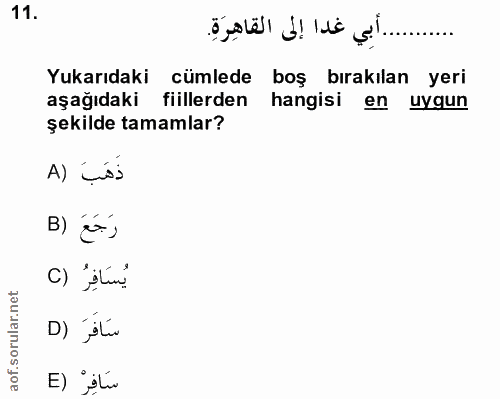Soru 11