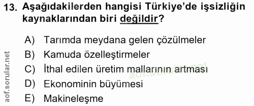 Soru 13