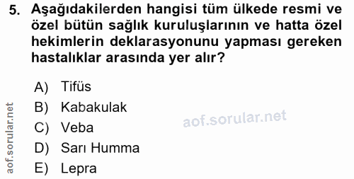 Soru 5