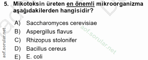 Soru 5