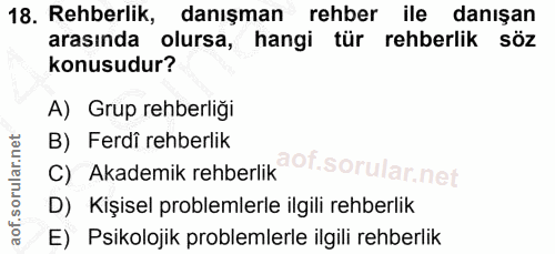 Soru 18