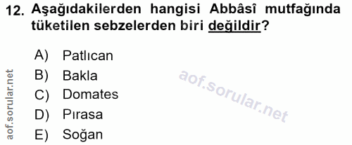 Soru 12