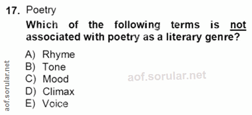 Soru 17