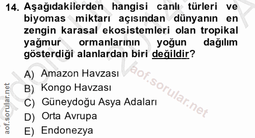 Soru 14