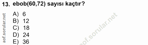 Soru 13