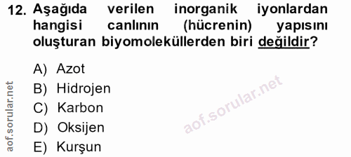 Soru 12