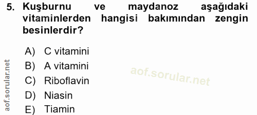 Soru 5